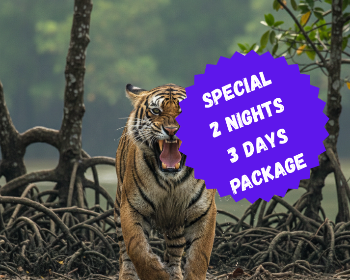 2 nights 3 days package