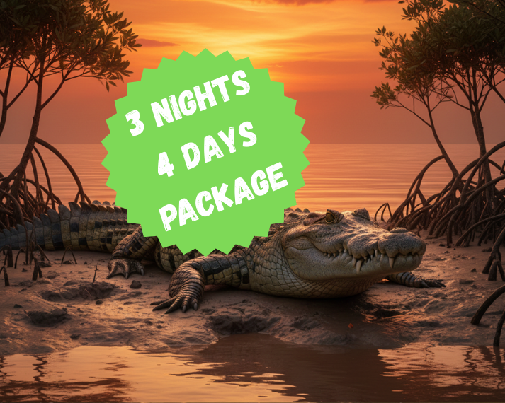 2 nights 3 days package (5)