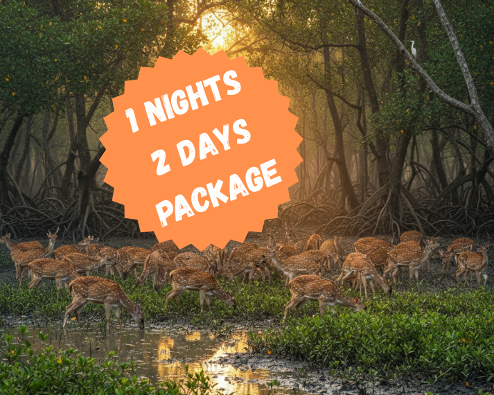 2 nights 3 days package (6)