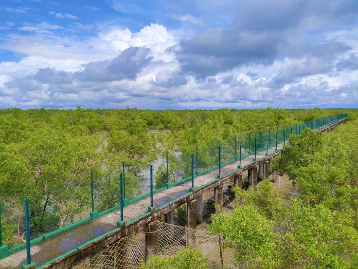 7c1b0a8e8a0288d53f903c13155813f4