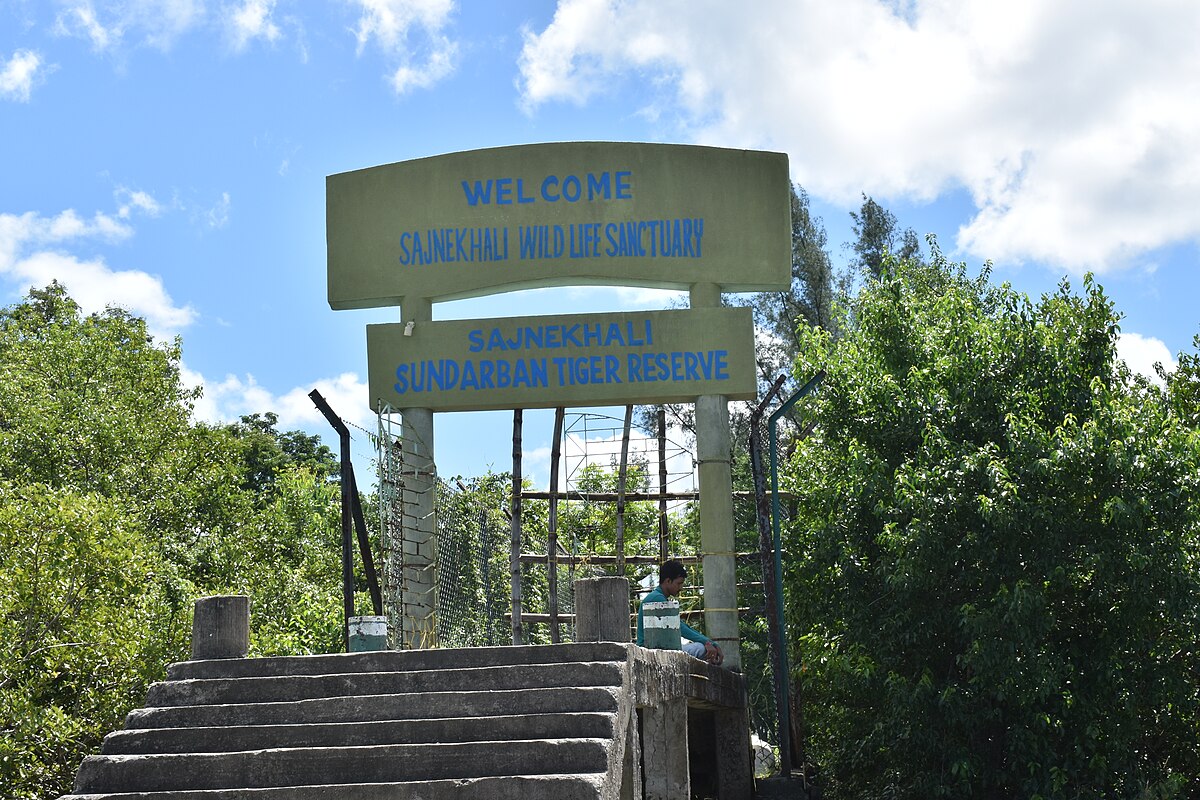sajnekhali wildlife sanctuary in sundarban 02